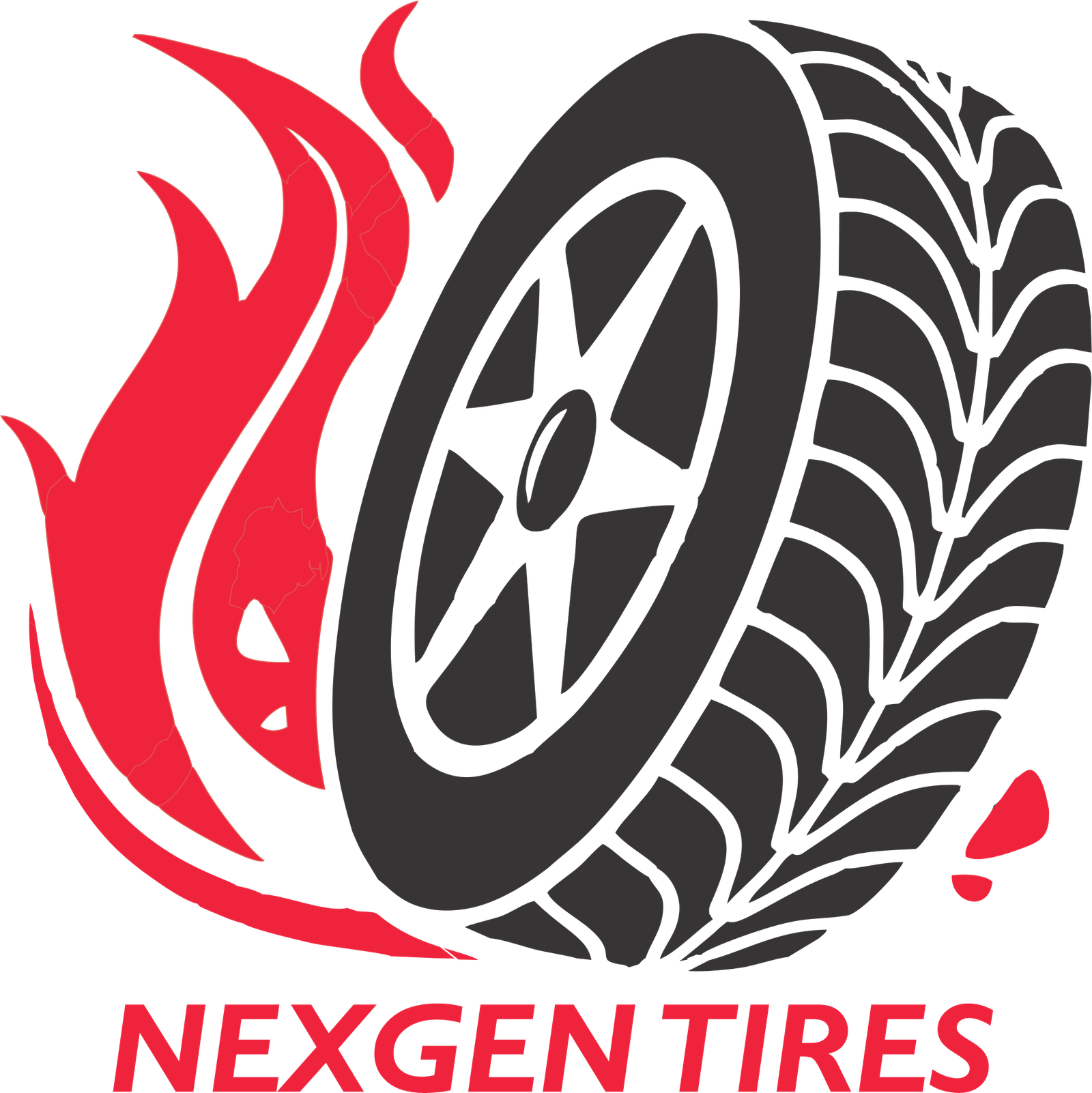 NEXGEN LOGO 24